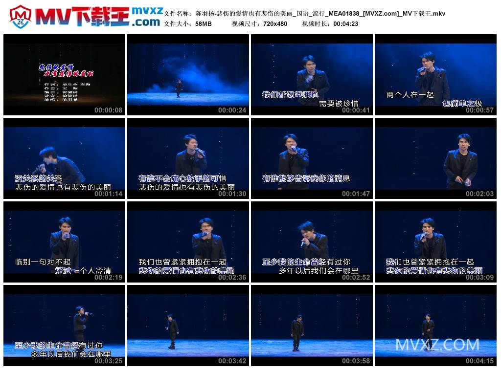 陈羽扬-悲伤的爱情也有悲伤的美丽_国语_流行_MEA01838